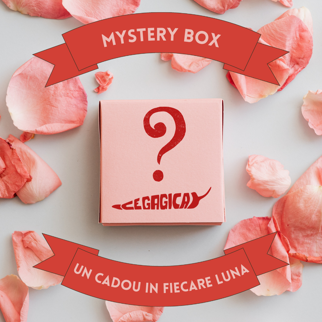 ♥ MYSTERY BOX BY CEGAGICA ♥ Un cadou in fiecare luna.